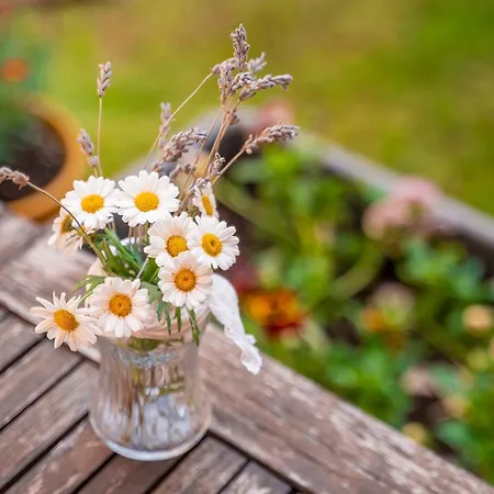 Gospodarstwo wiejskie La Carreteria Camanas