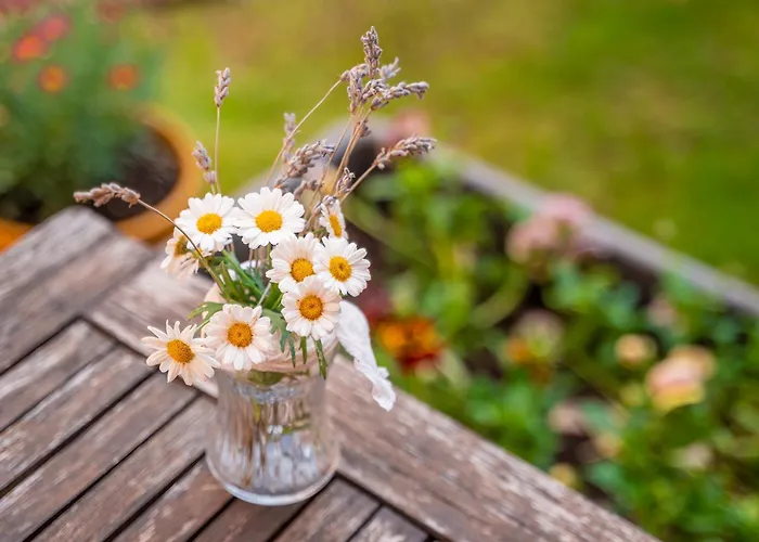 Casa rural La Carretería Camanas